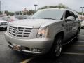 Quicksilver - Escalade ESV AWD Photo No. 1