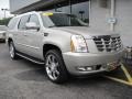 Quicksilver - Escalade ESV AWD Photo No. 4