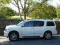 Tuscan Pearl White - QX 56 Photo No. 24