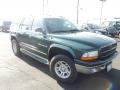 1999 Forest Green Pearlcoat Dodge Durango SLT #55332431