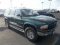 1999 Forest Green Pearlcoat Dodge Durango SLT  photo #7