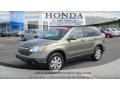 Green Tea Metallic 2009 Honda CR-V EX-L