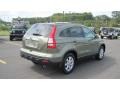 2009 Green Tea Metallic Honda CR-V EX-L  photo #5