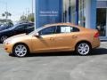 Vibrant Copper Metallic - S60 T6 AWD Photo No. 6