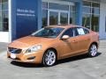 Vibrant Copper Metallic - S60 T6 AWD Photo No. 39