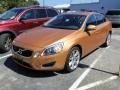 Vibrant Copper Metallic - S60 T6 AWD Photo No. 40