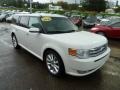 2010 White Suede Ford Flex SEL EcoBoost AWD  photo #6