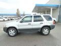 2003 Satin Silver Metallic Ford Escape XLT V6 4WD  photo #2