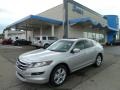 Alabaster Silver Metallic - Accord Crosstour EX-L Photo No. 1