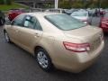 Sandy Beach Metallic - Camry  Photo No. 4