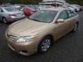 Sandy Beach Metallic - Camry  Photo No. 5