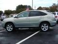 Bamboo Pearl - RX 350 AWD Photo No. 7