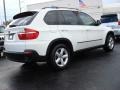 Alpine White - X5 3.0si Photo No. 3