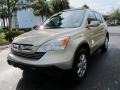 2007 Borrego Beige Metallic Honda CR-V EX-L  photo #7