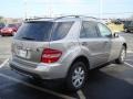 2006 Pewter Metallic Mercedes-Benz ML 350 4Matic  photo #7