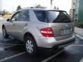 2006 Pewter Metallic Mercedes-Benz ML 350 4Matic  photo #9