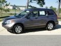 2010 Urban Titanium Metallic Honda CR-V LX  photo #9