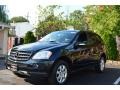 Black - ML 350 4Matic Photo No. 2