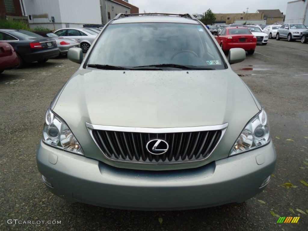 2009 RX 350 AWD - Bamboo Pearl / Light Gray photo #3