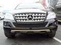 Black - ML 350 Photo No. 2