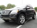 Black - ML 350 Photo No. 3