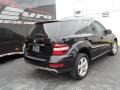 Black - ML 350 Photo No. 9
