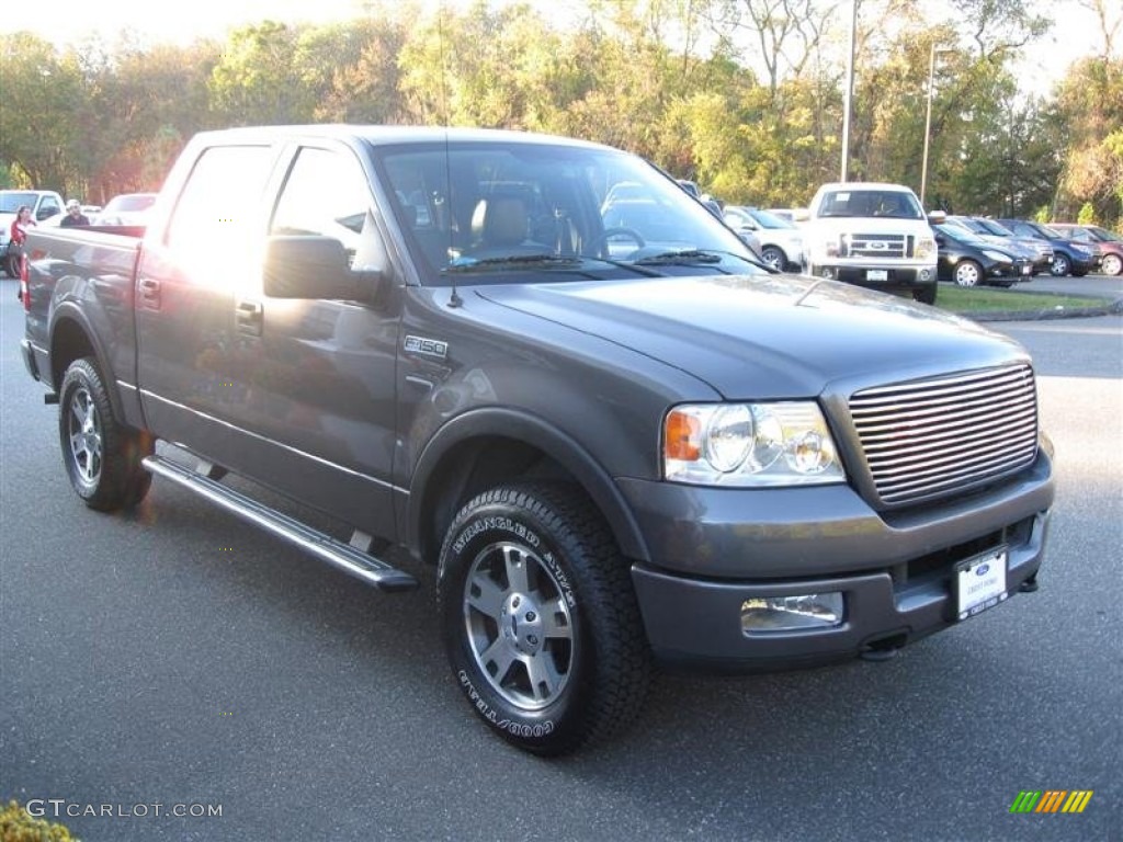 2005 F150 FX4 SuperCrew 4x4 - Dark Shadow Grey Metallic / Black photo #4