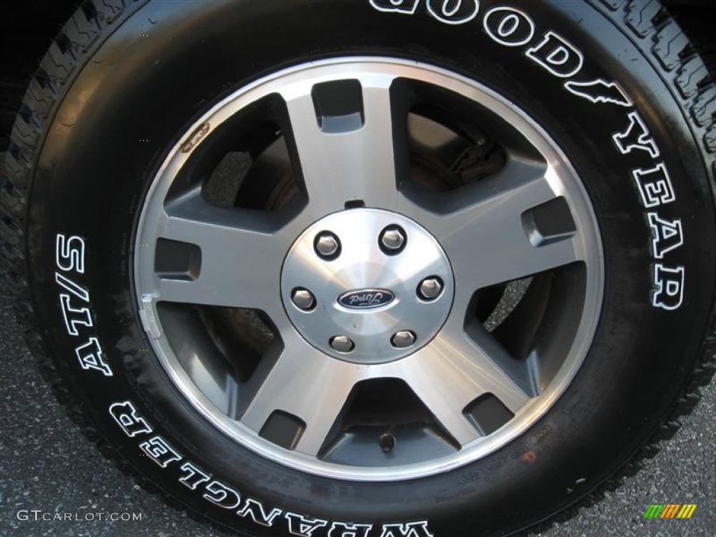 2005 F150 FX4 SuperCrew 4x4 - Dark Shadow Grey Metallic / Black photo #9