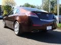 2009 Basque Red Pearl Acura TL 3.5  photo #6