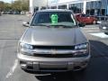 Graystone Metallic - TrailBlazer LS 4x4 Photo No. 2