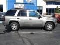 Graystone Metallic - TrailBlazer LS 4x4 Photo No. 8
