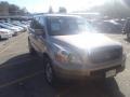 2004 Sandstone Metallic Honda Pilot EX-L 4WD  photo #1