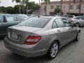 2009 Pewter Metallic Mercedes-Benz C 300 Luxury  photo #2