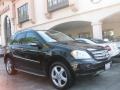 Black - ML 350 4Matic Photo No. 1