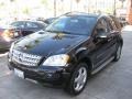 Black - ML 350 4Matic Photo No. 8
