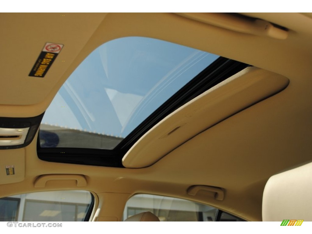 2010 Acura TL 3.5 Technology Sunroof Photo #55377720