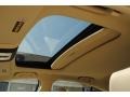 Taupe Sunroof Photo for 2010 Acura TL #55377720