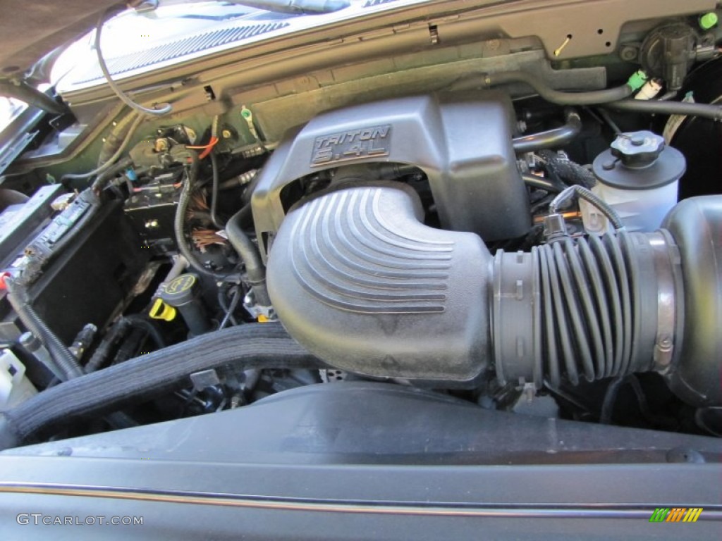2002 Ford F150 Lariat SuperCrew 5.4 Liter SOHC 16V Triton V8 Engine Photo #55381419