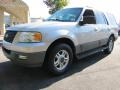 2003 Silver Birch Metallic Ford Expedition XLT  photo #1
