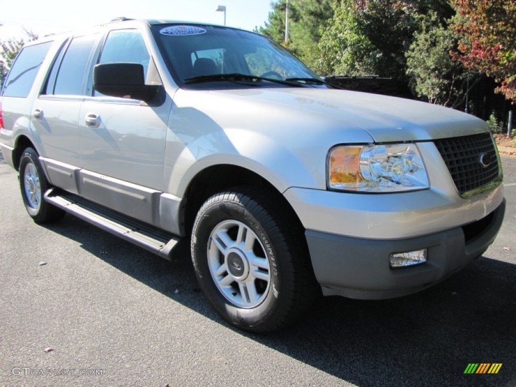 2003 Expedition XLT - Silver Birch Metallic / Flint Grey photo #4
