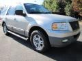 2003 Silver Birch Metallic Ford Expedition XLT  photo #4