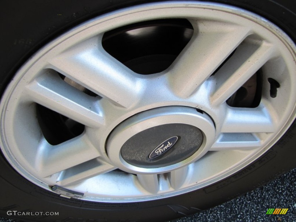 2003 Expedition XLT - Silver Birch Metallic / Flint Grey photo #5