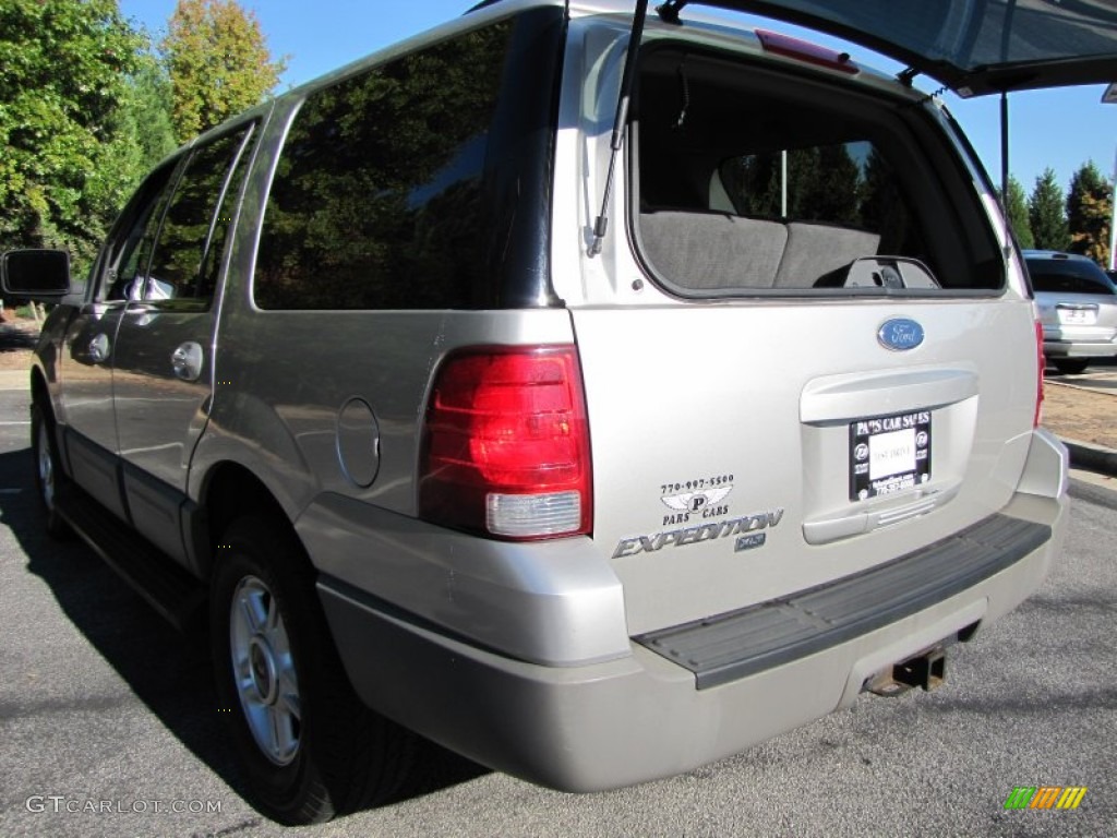 2003 Expedition XLT - Silver Birch Metallic / Flint Grey photo #9