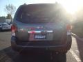 2008 Storm Gray Nissan Pathfinder SE 4x4  photo #5