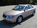 Golden Beige - Sonata GLS V6 Photo No. 1