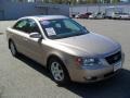 Golden Beige - Sonata GLS V6 Photo No. 5
