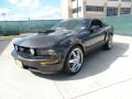 2007 Alloy Metallic Ford Mustang GT Premium Coupe  photo #7