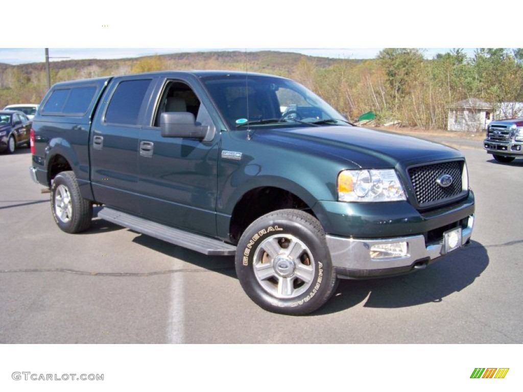 2005 F150 XLT SuperCrew 4x4 - Aspen Green Metallic / Medium Flint/Dark Flint Grey photo #3