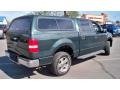 Aspen Green Metallic - F150 XLT SuperCrew 4x4 Photo No. 5