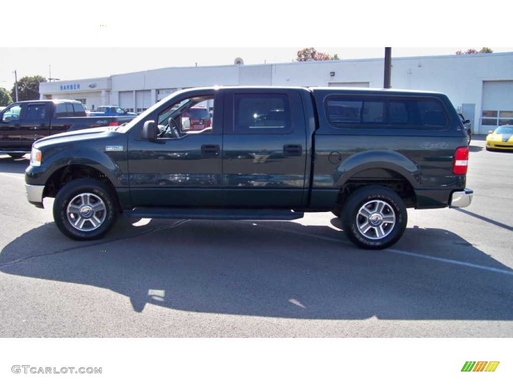 2005 F150 XLT SuperCrew 4x4 - Aspen Green Metallic / Medium Flint/Dark Flint Grey photo #8